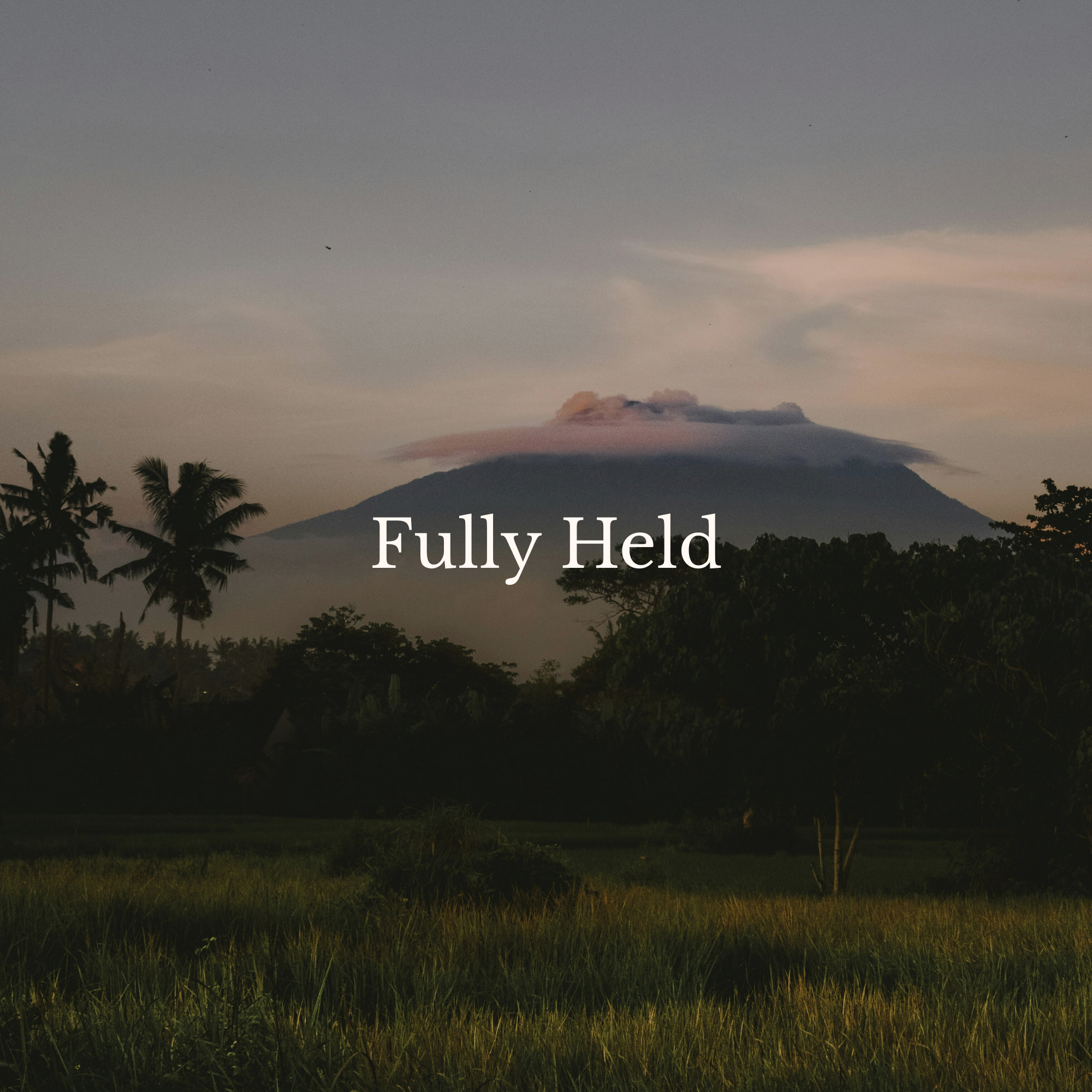 The Immersed - Custom Journey